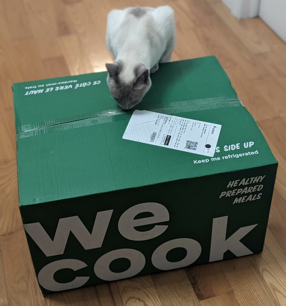 Notre chat qui découvre une boite obtenue grâce au rabais Wecook !